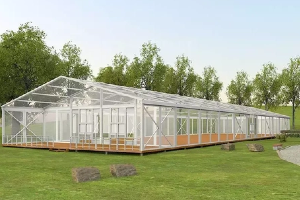 Tente de mariage à cadre en aluminium Liansheng Hot Sales